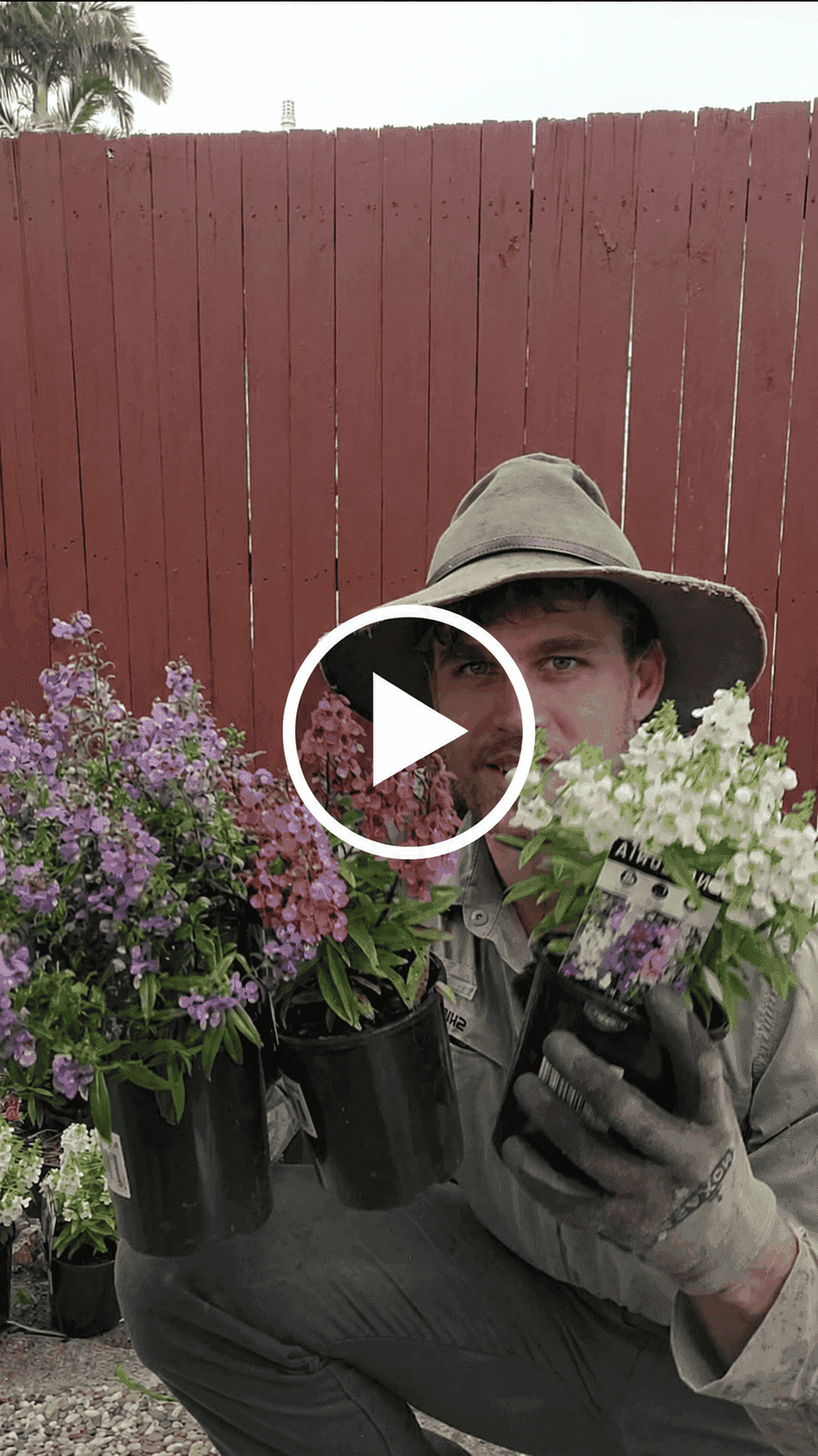 Birkett Gardens Youtube Channel