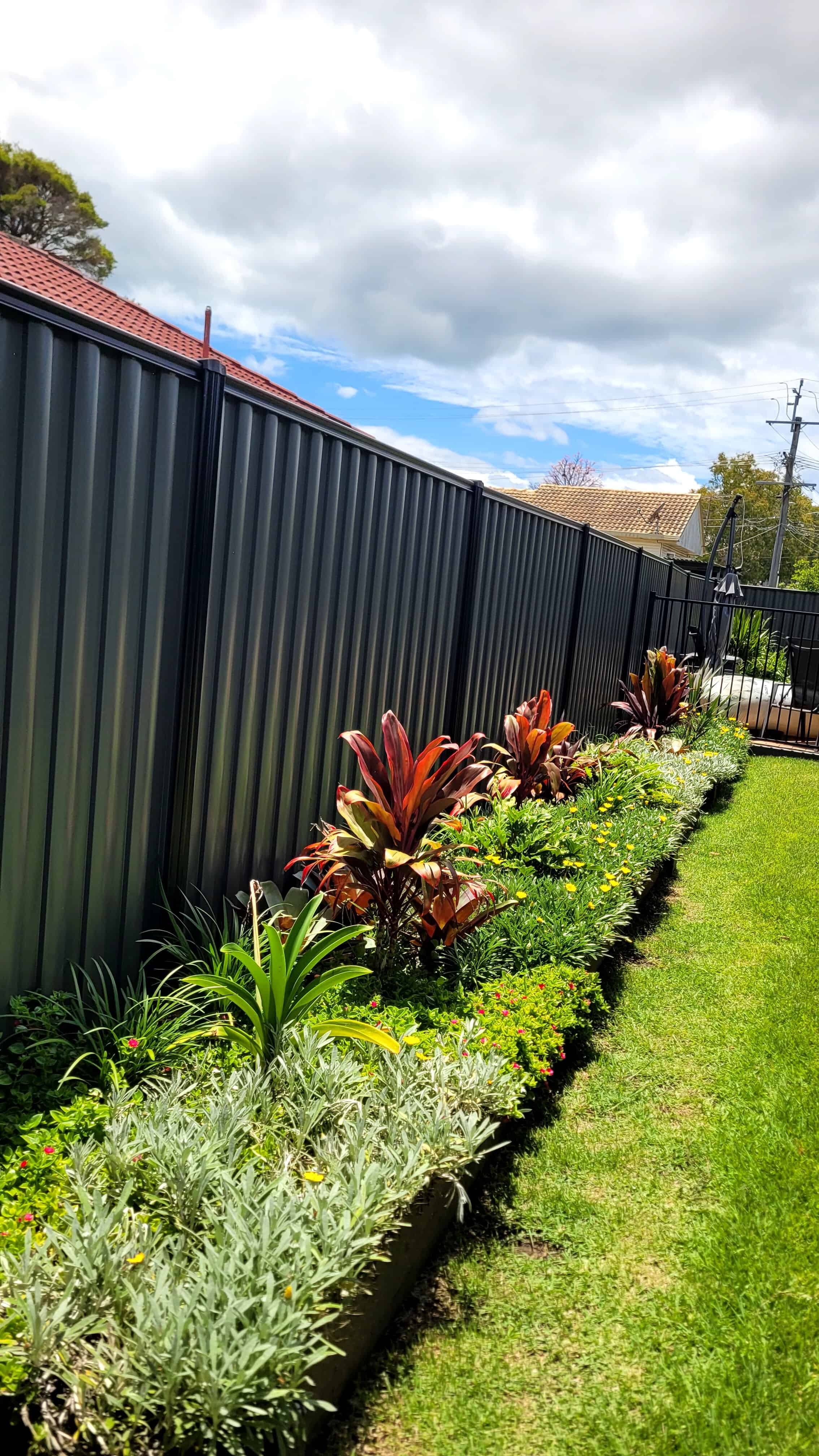 Newly planted raised garden bed in Brisbane with cordylines, gazanias and liriopes.