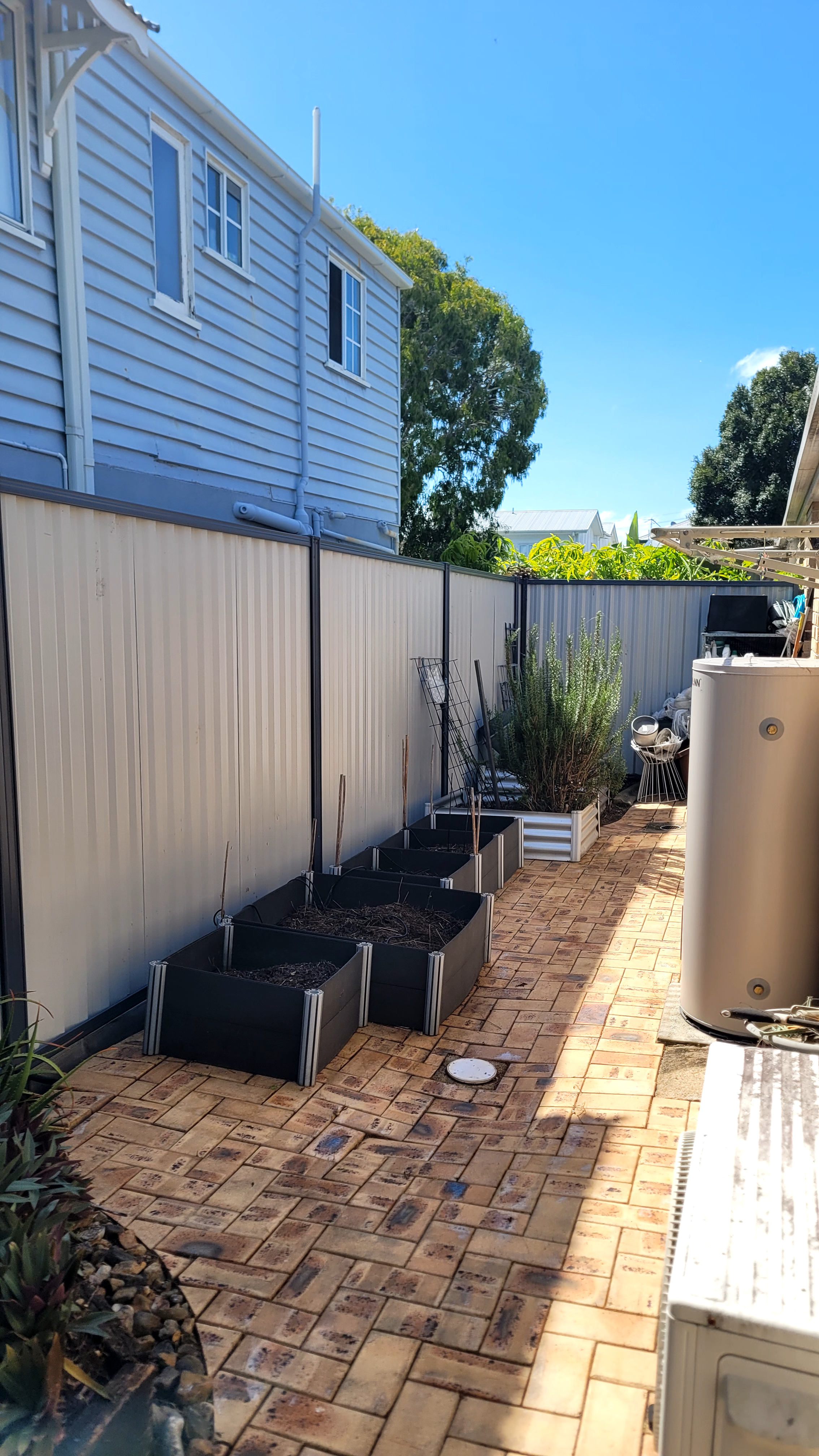 A garden path with weeds removed in a Brisbane back yard.