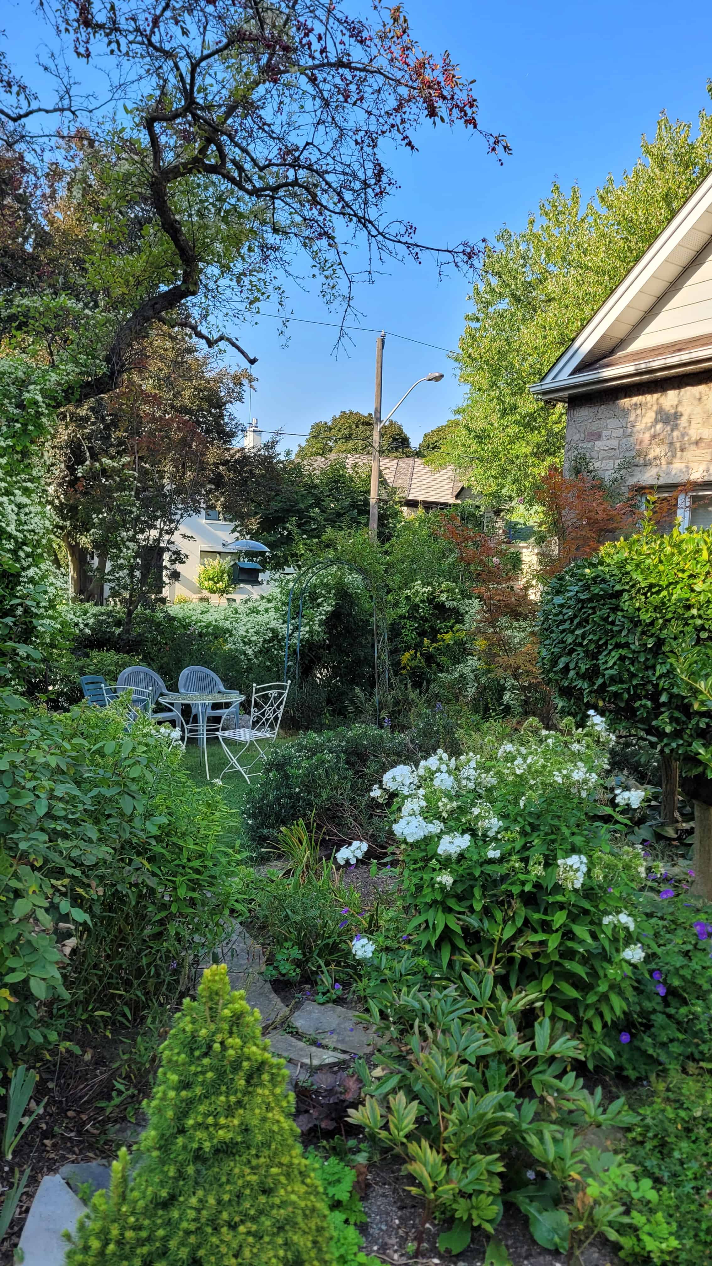 A beautiful yet old cottage garden with flourishing trees, blooming phlox and celmatis, and a variety of plants.